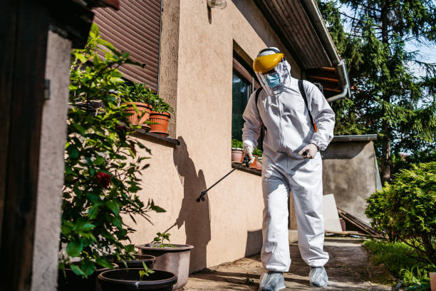 Best Exterminator Services  in Line Acres, MO