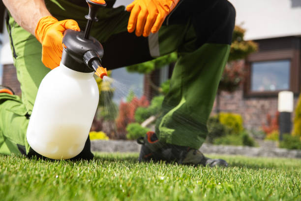 Best Residential Pest Control  in Line Acres, MO