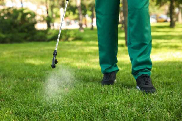 Best Local Pest Control Services  in Line Acres, MO