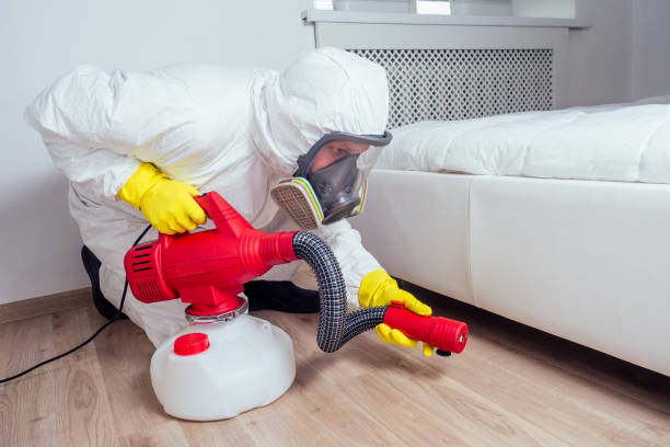 Best Pest Control Treatment  in Line Acres, MO