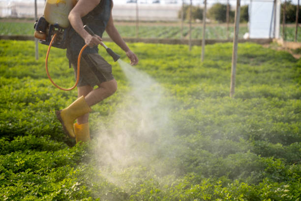 Best Pest Inspection Near Me  in Line Acres, MO