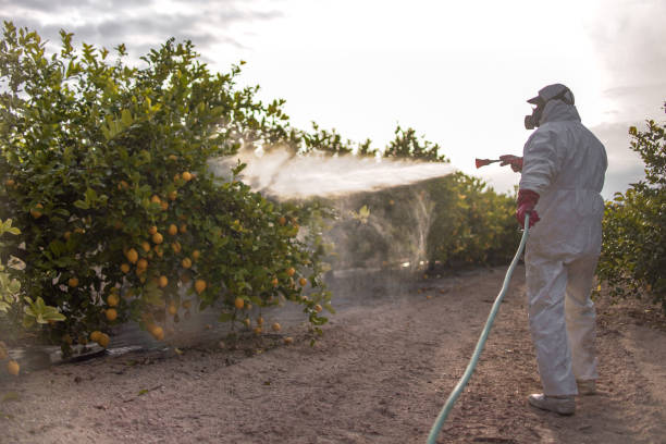 Best Commercial Pest Control Services  in Line Acres, MO