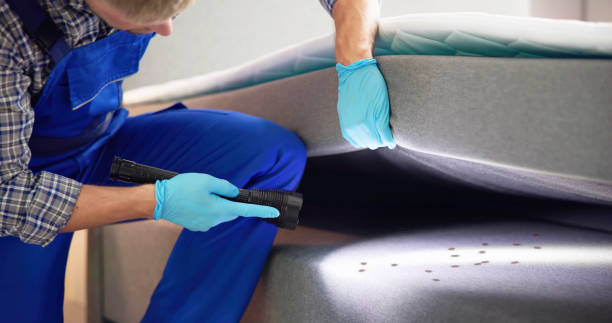 Best Termite Control Services  in Line Acres, MO