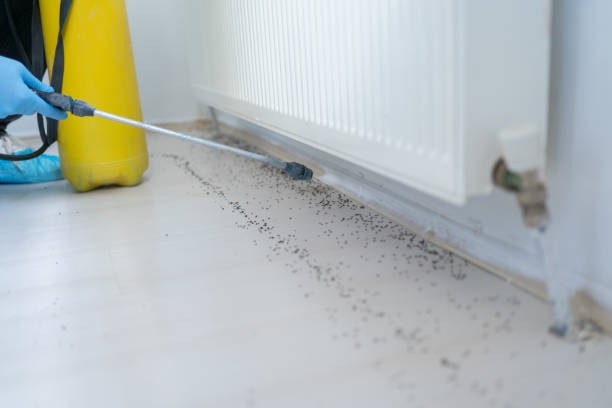 Best Pest Removal Services  in Line Acres, MO